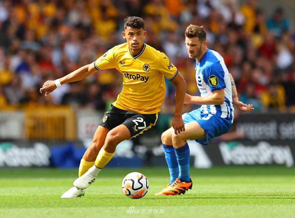 按上面的内 按上面的内